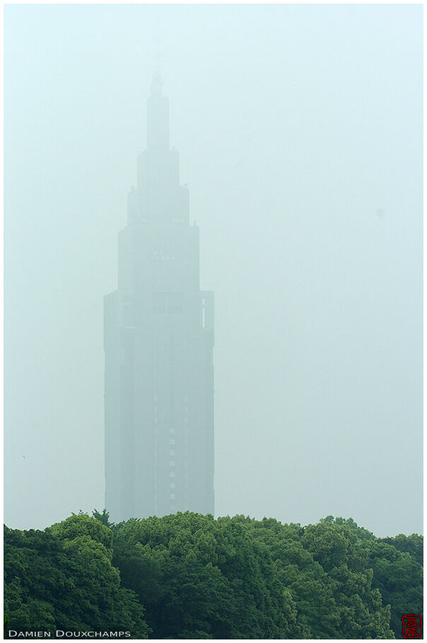 NTT tower in the mist