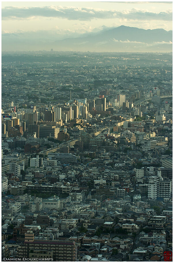 West Tokyo from the Governement Towers