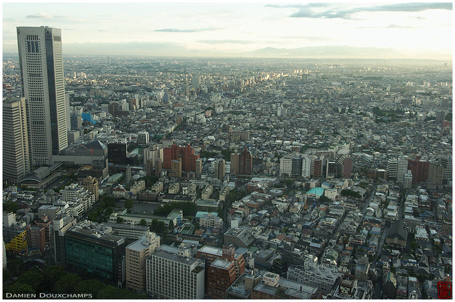 West Tokyo from the Governement Towers