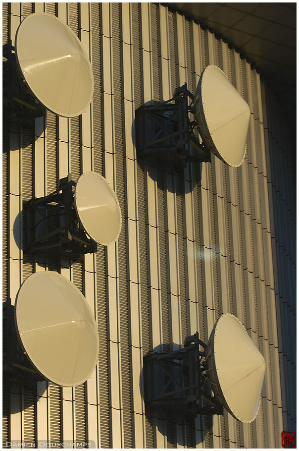 Transmission at sunset in the Shinjuku district