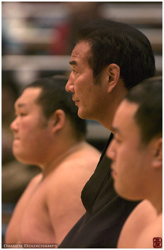 Main judge and young sumotori